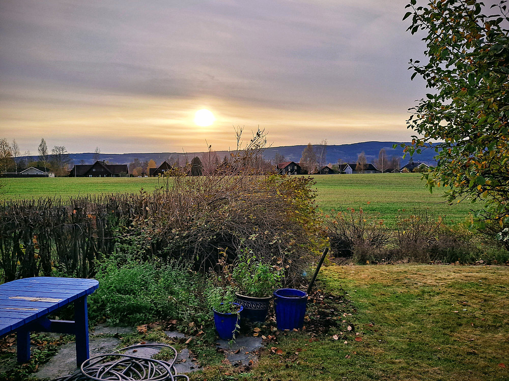 Solnedgang og rydding i hagen