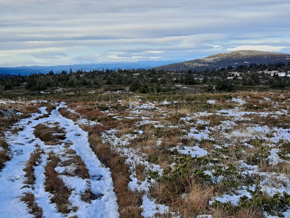 På Lunkefjell vest