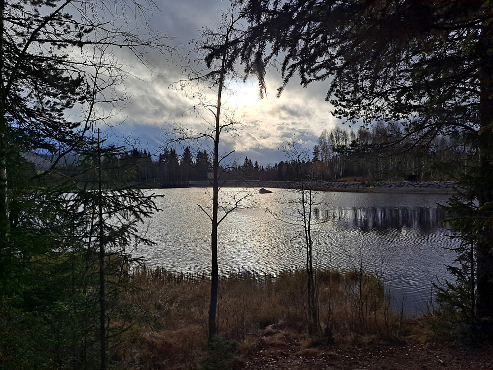 Krokflø