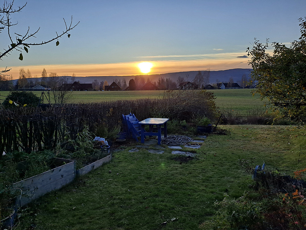 Litt haustrydding i hagen etterpå