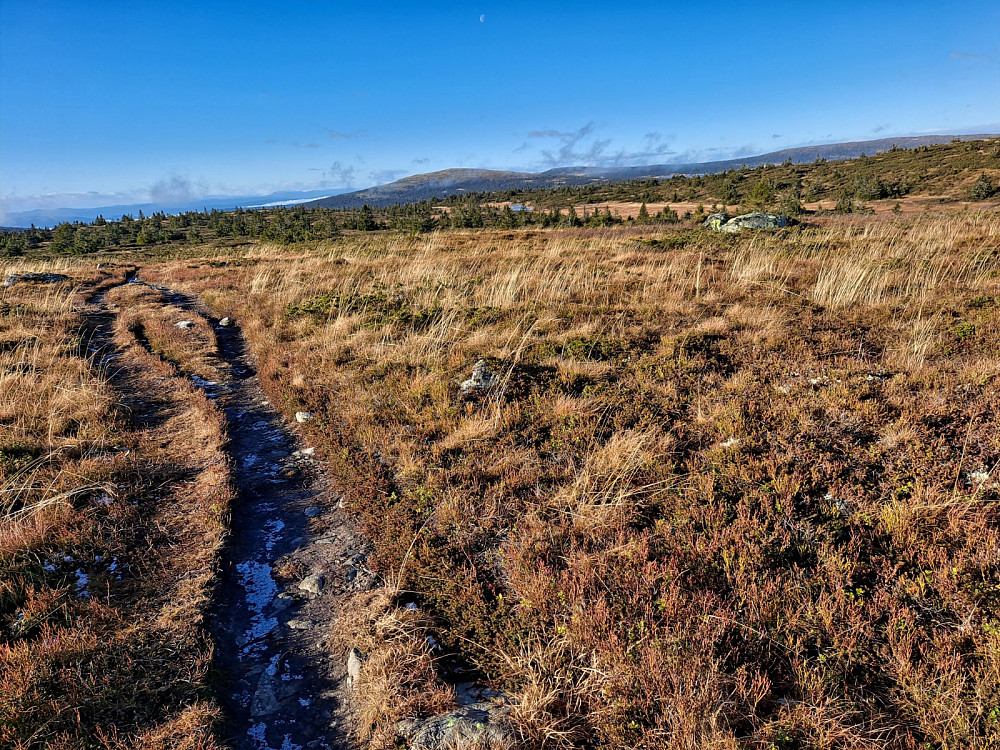 På Lunkefjell vest