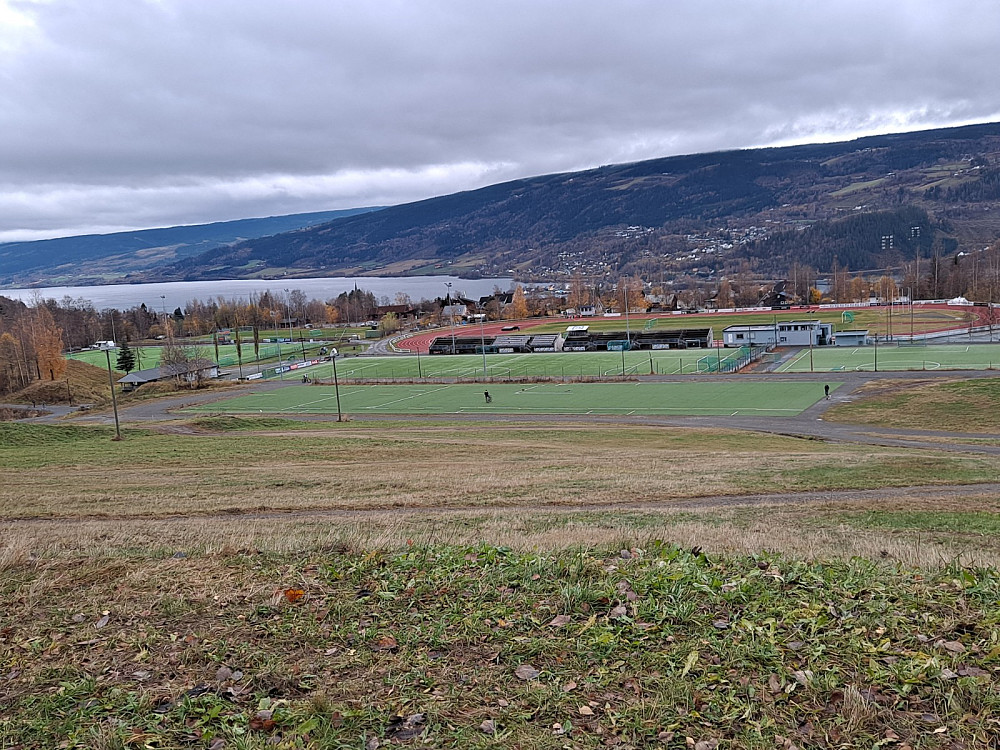 Stampesletta