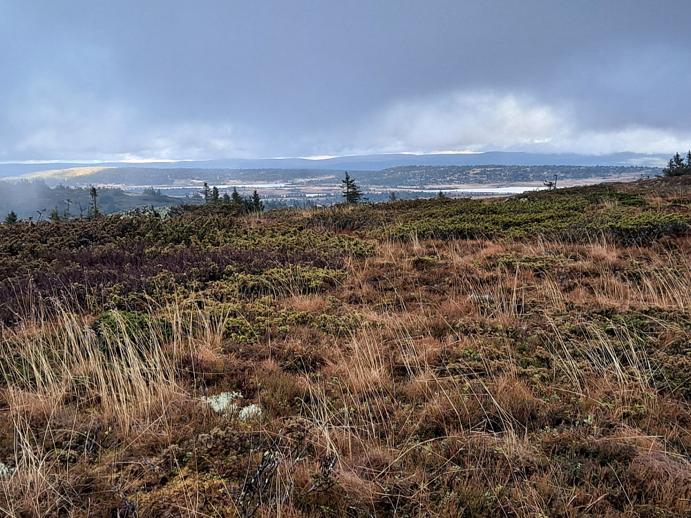 Innover fra Lunkefjell vest