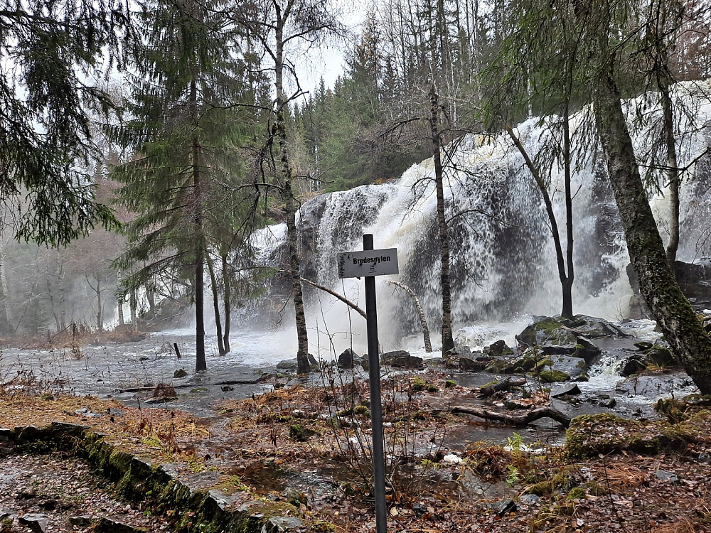 Mesnaelva