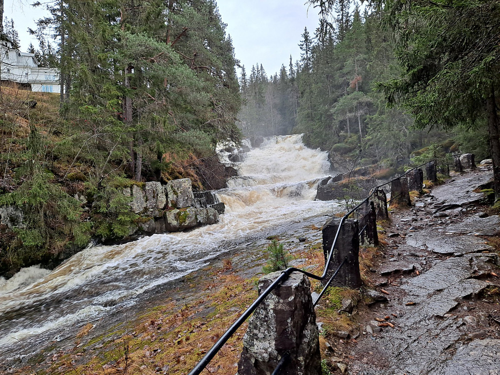 Mye vatn i Mesnaelva nå