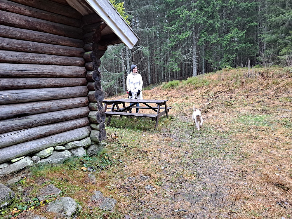 Ved Fogdehytta