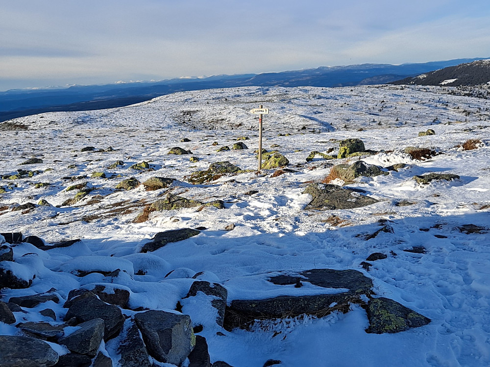 På Nevelfjell