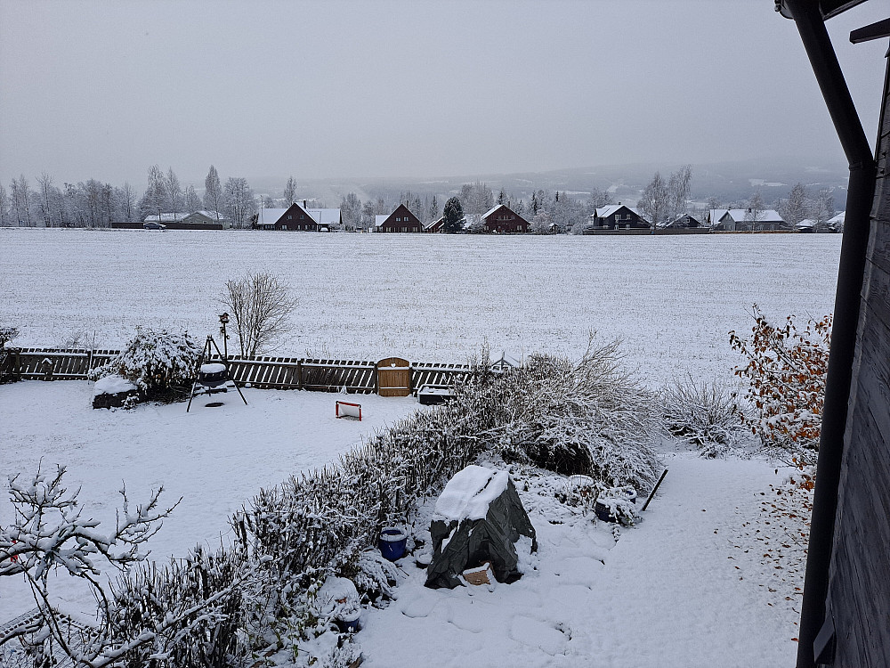 Nysnø på morgenen i dag