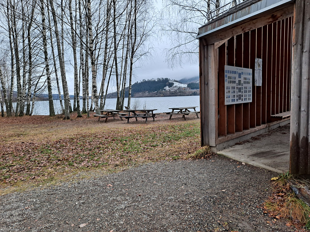 Ved fuglekikkertårnet