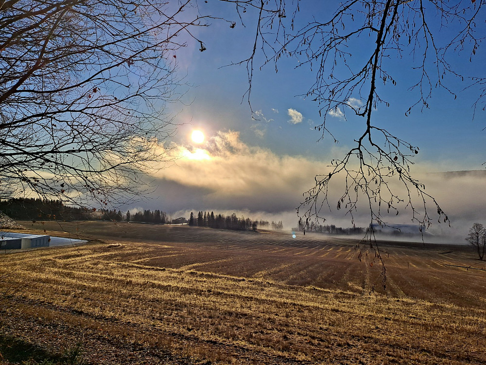 
Lysgårdsjordet