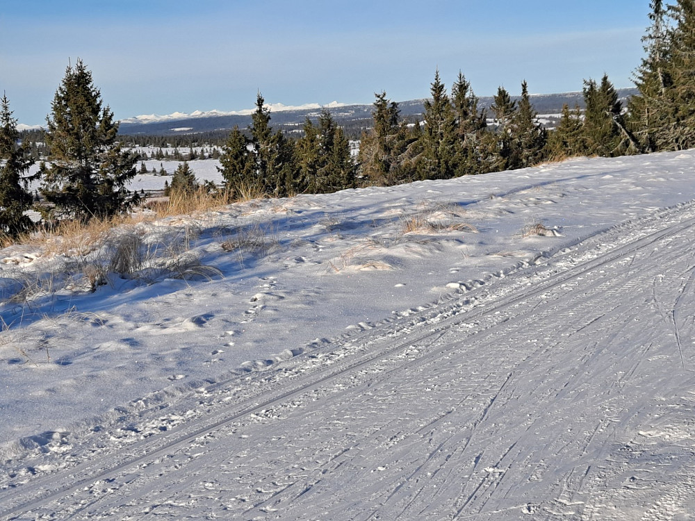 Mot Rondane fra Hitvegen