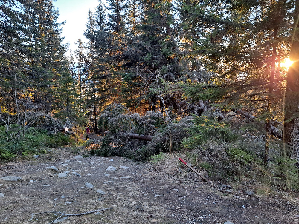 
Og nesten også råket tilbake til Balbergskaret