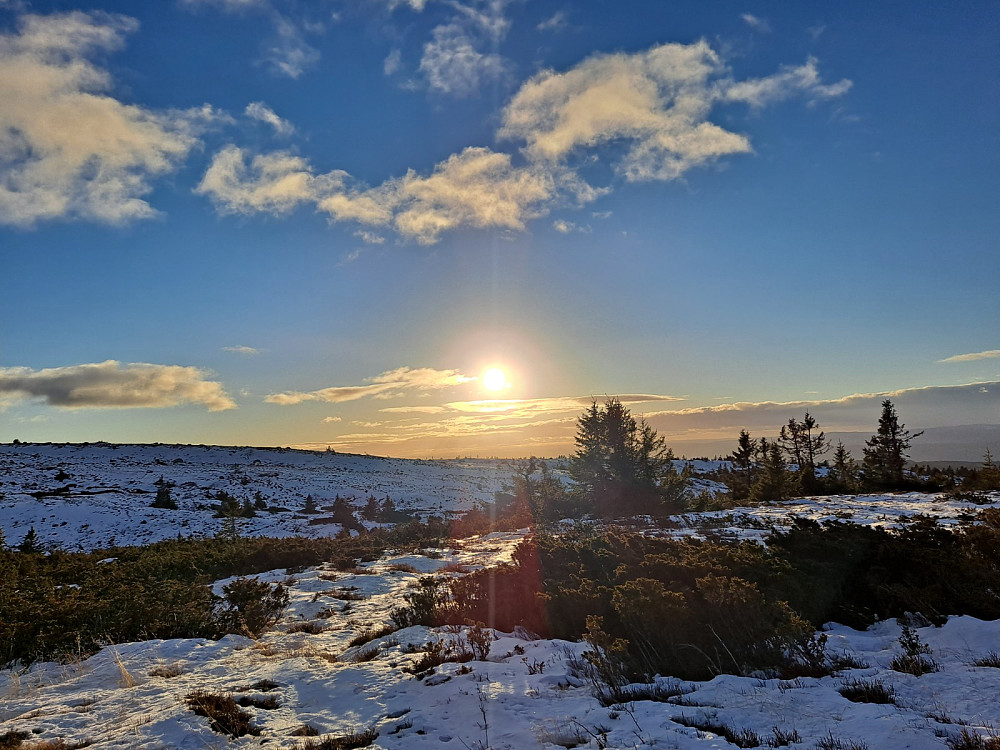På Lunkefjell vest
