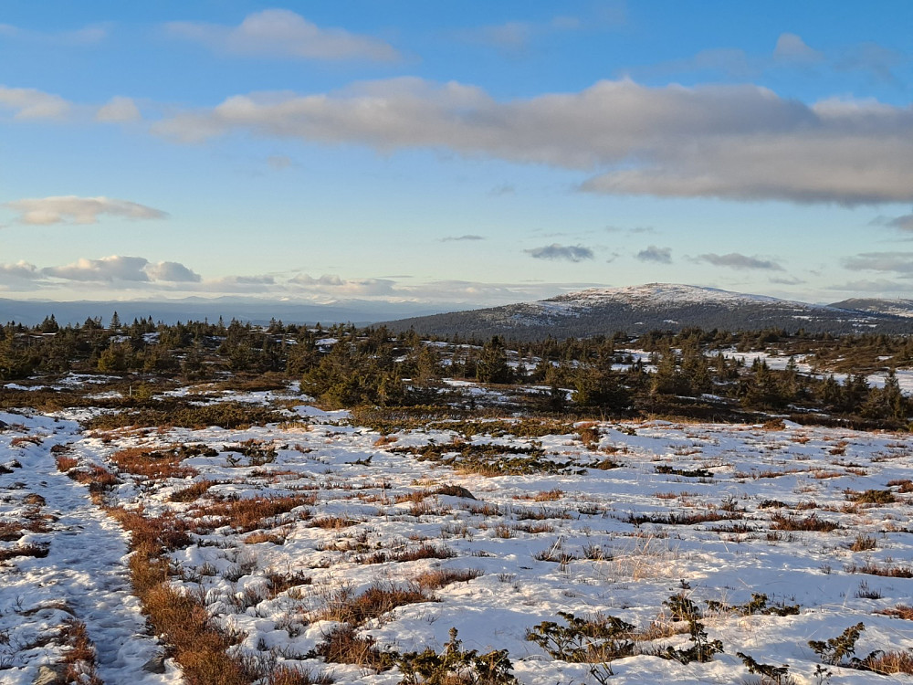 På Lunkefjell vest
