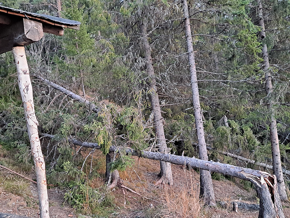 Ved gapahuken på Hansvehaugen