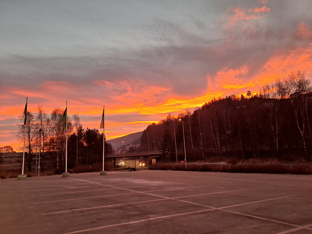 Solnedgang på Kiwi, Vingnes