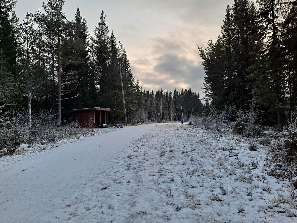 Ved Hammerkoia
