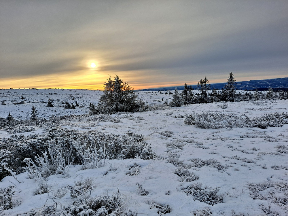 På Lunkefjell vest