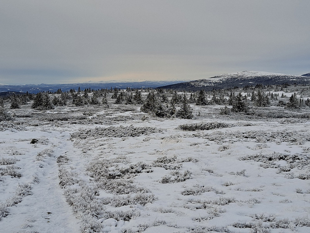 På Lunkefjell vest