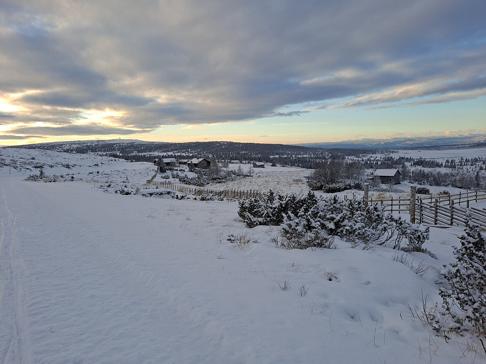 Ved Hitsetrene