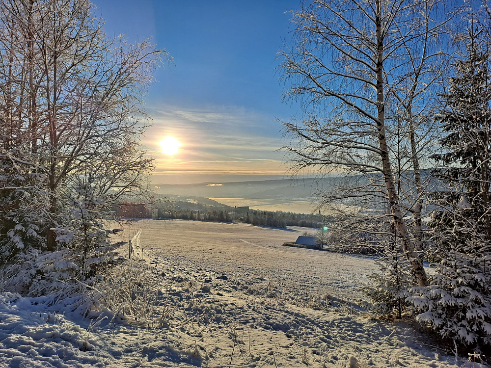 Lysgårdsjordet