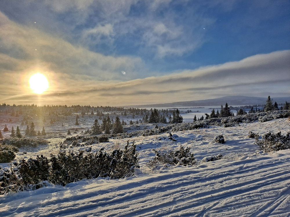 Pellevegen, Indre Reina