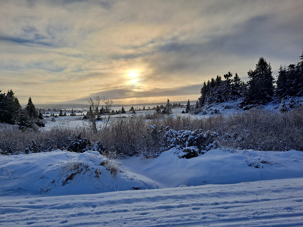 Pellevegen, Kriksvika