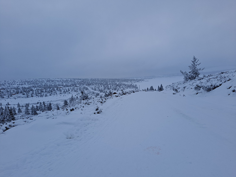 På Reinakrysset