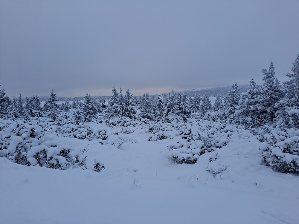På Nevelåsen