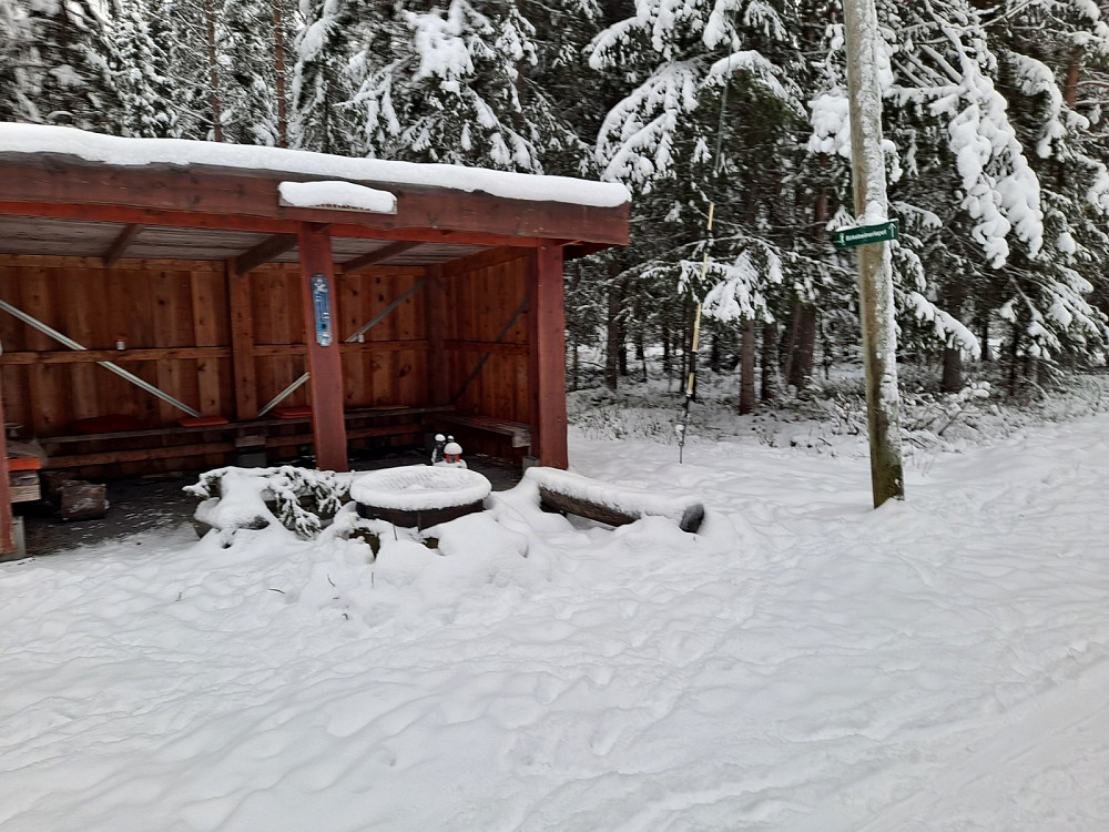 Ved Hammerkoia