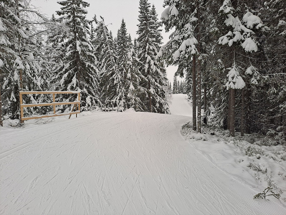 På Kanthaugen