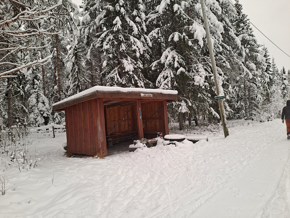 Ved Hammerkoia