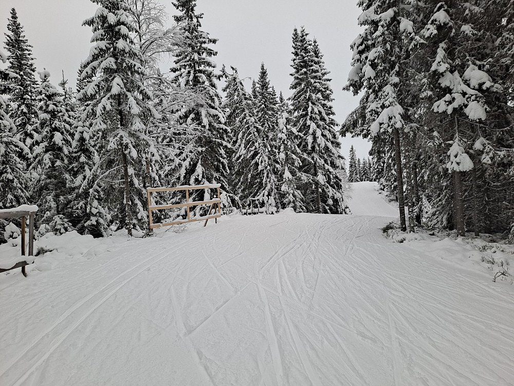 På Kanthaugen
