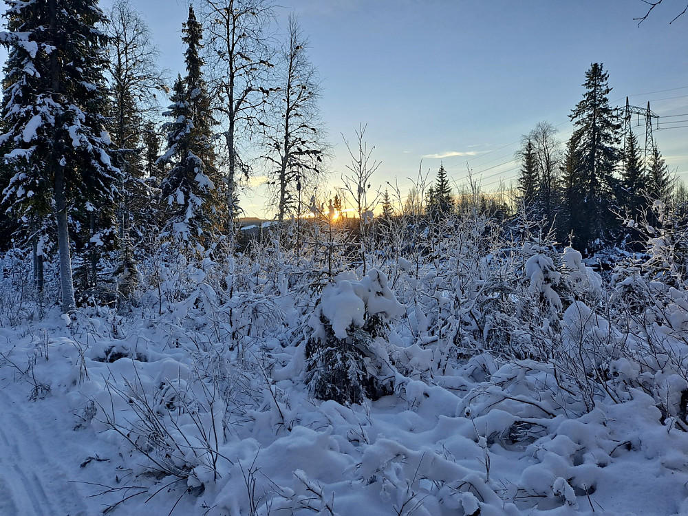 Ved Birkebeinerløypa