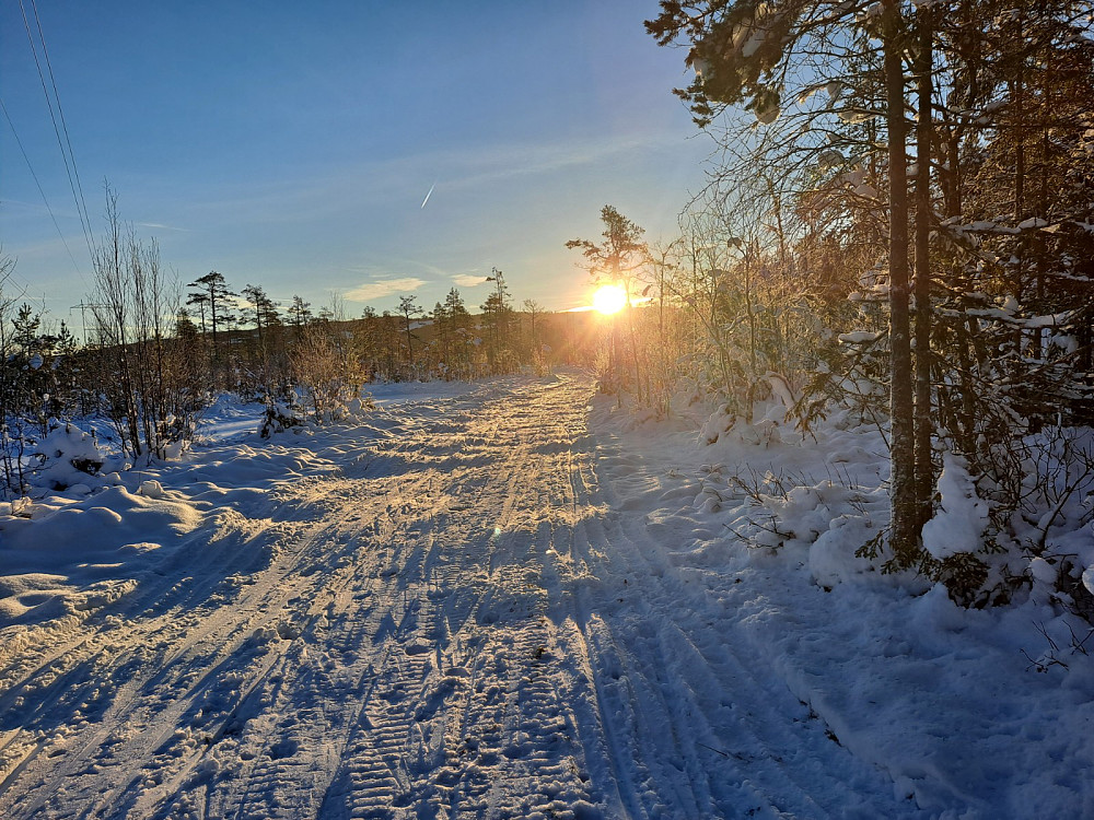 I Birkebeinerløypa