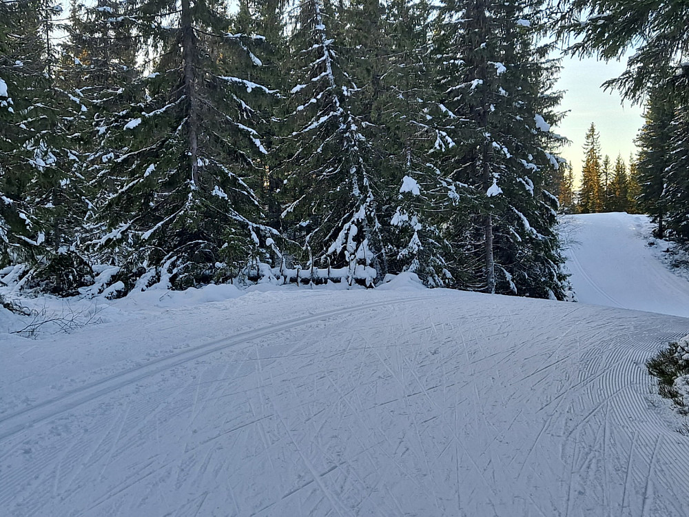 På Kanthaugen