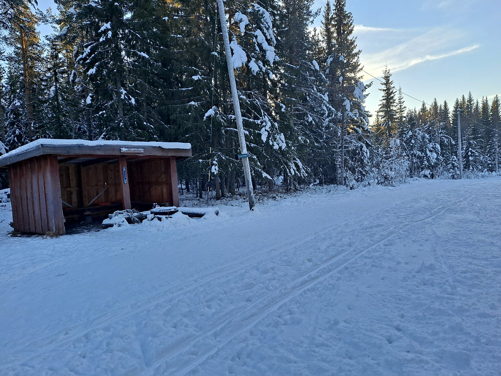 Ved Hammerkoia