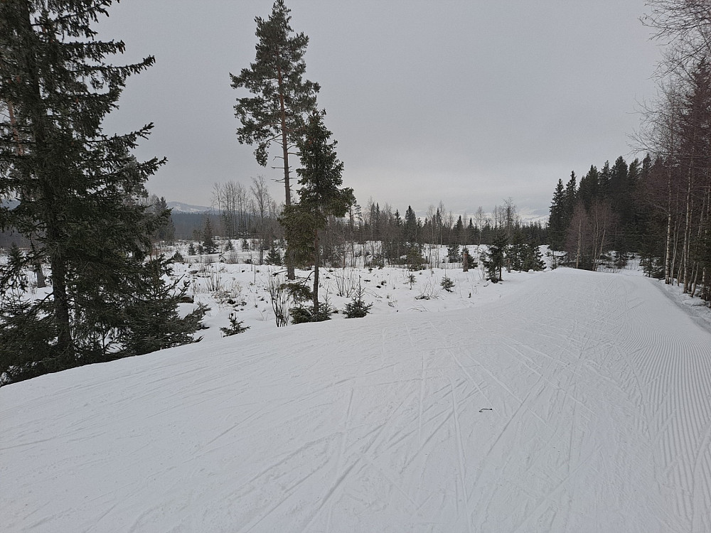 Ned fra Kanthaugen