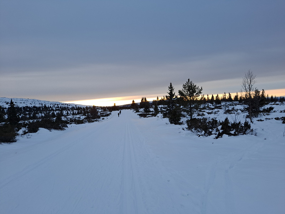 Ved Sjøsæterkrysset