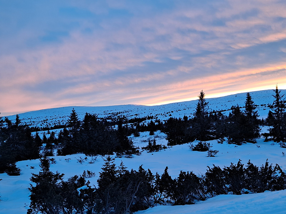 Mot Nevelfjell