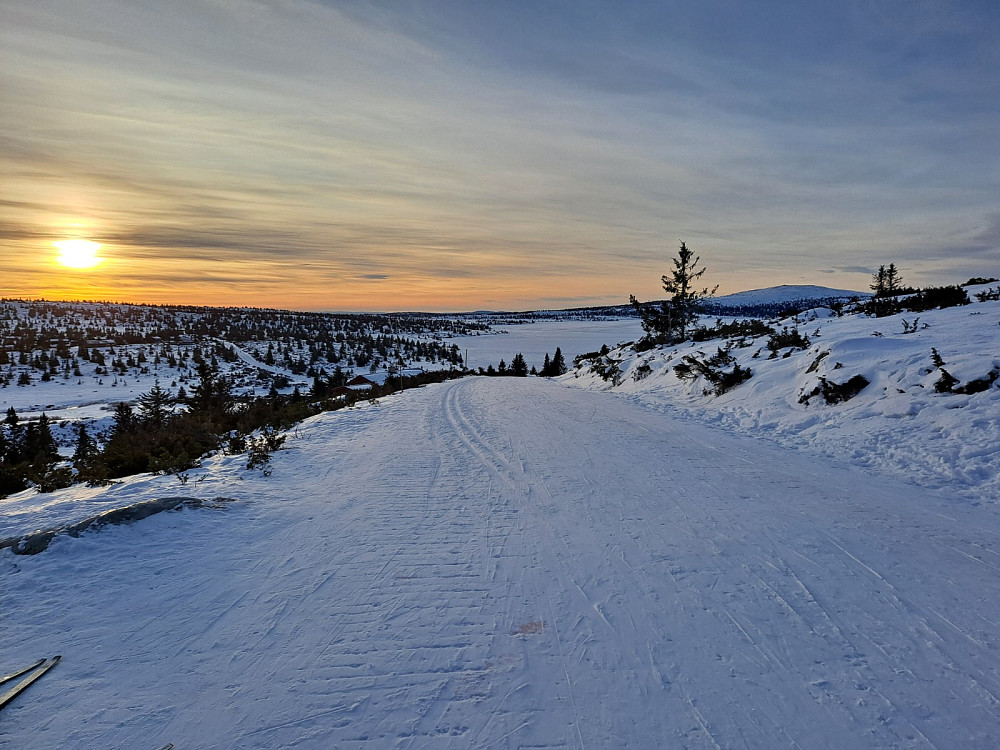  På Reinakrysset