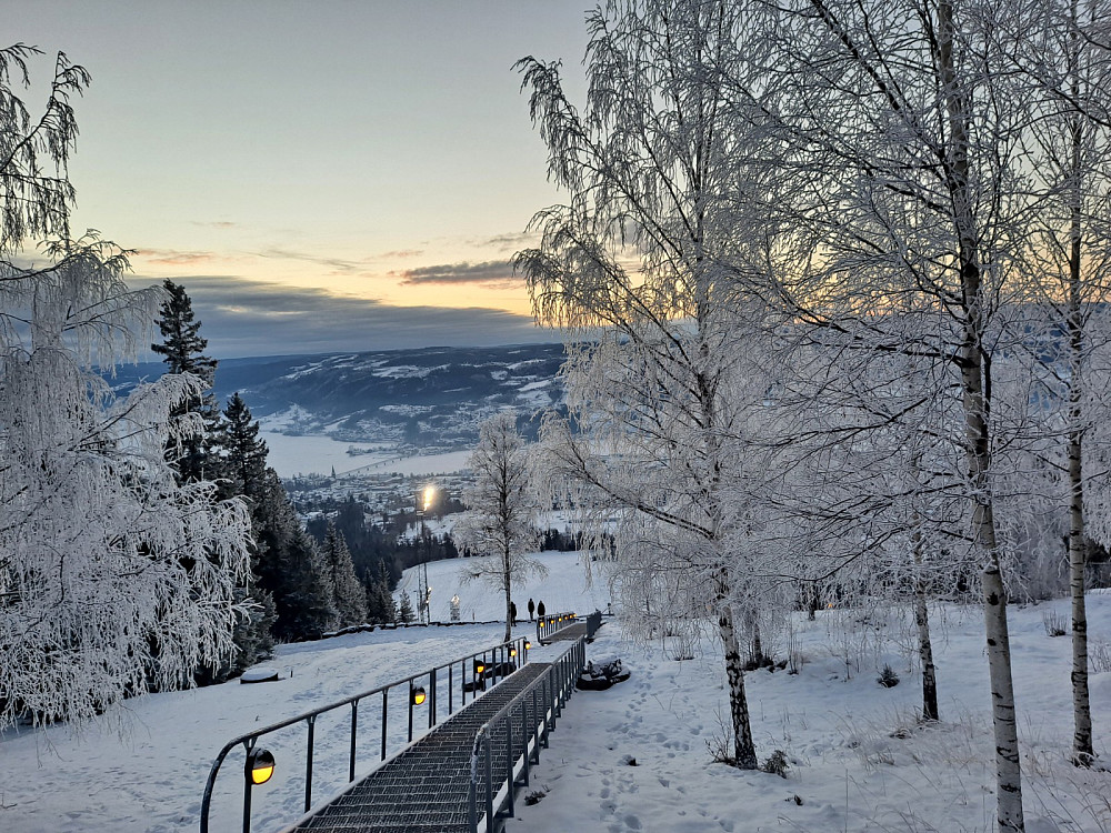 Lysgårdsbakken