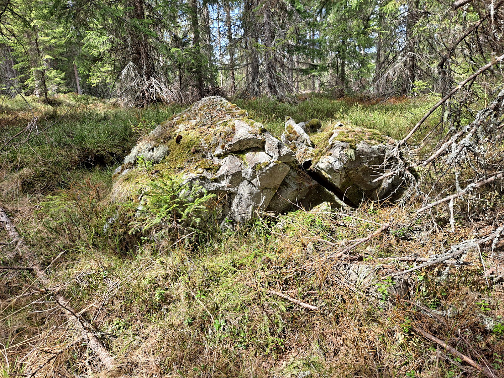 På Kanthaugen