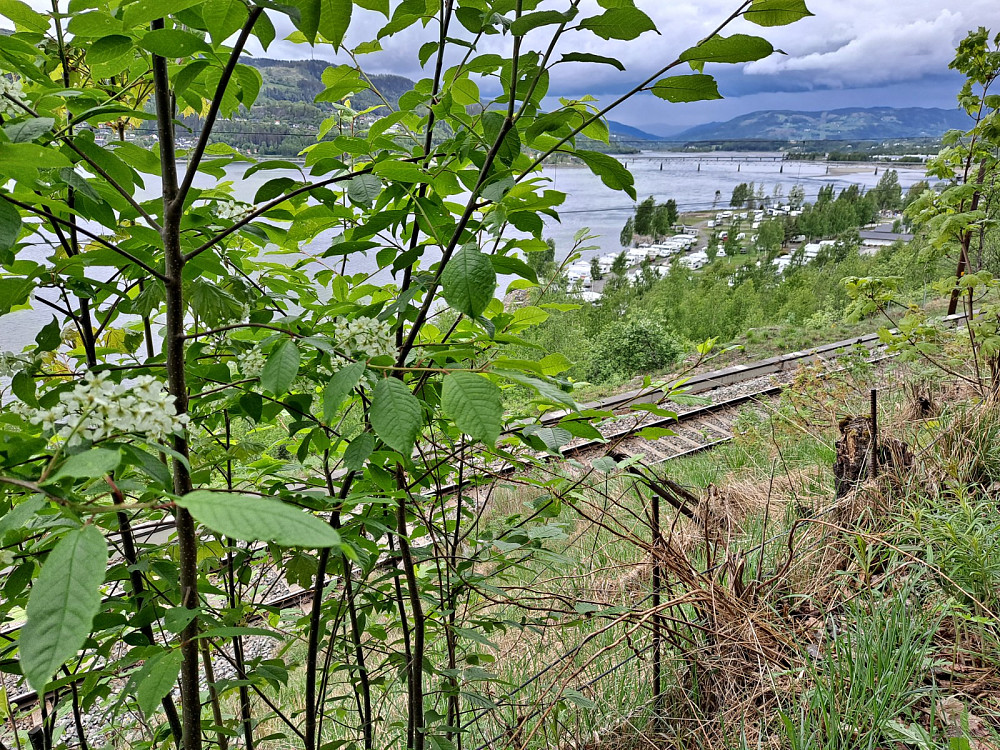 Langs toglinja
