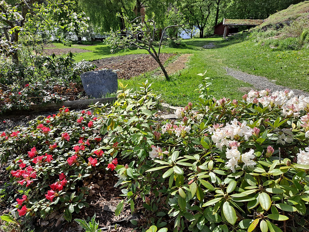 Ved Sundgården