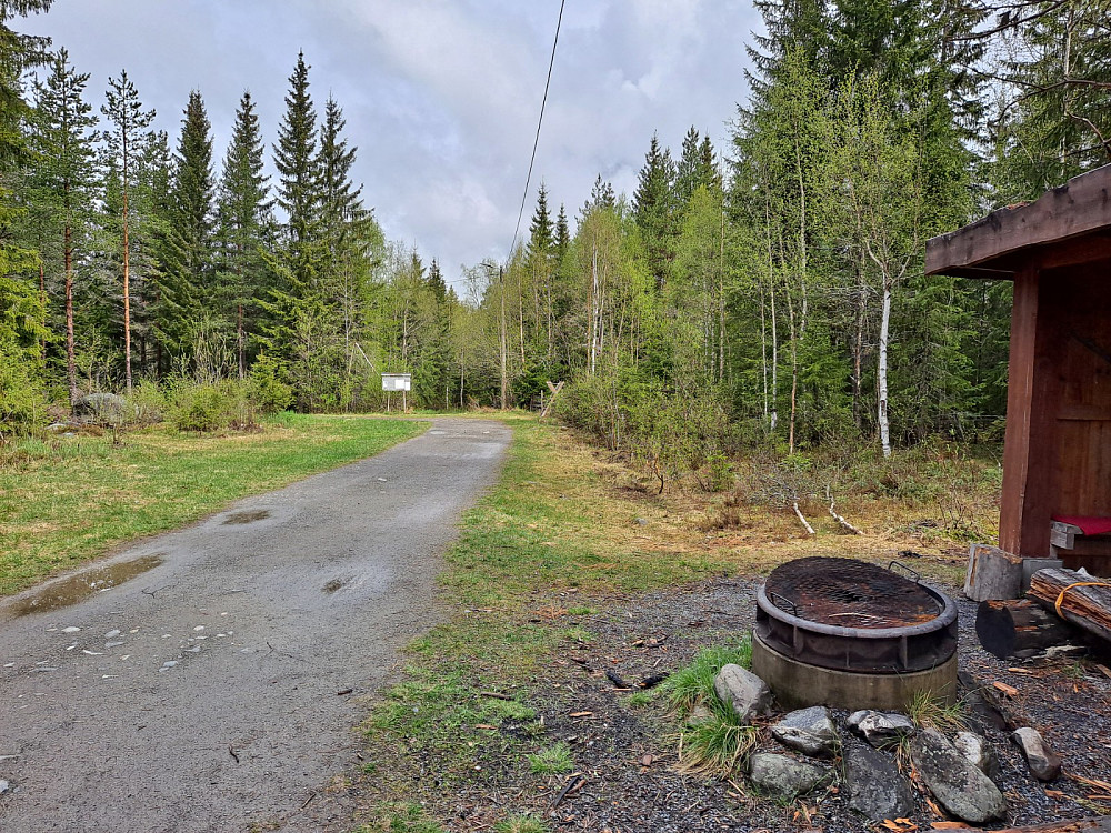 Ved Hammerkoia