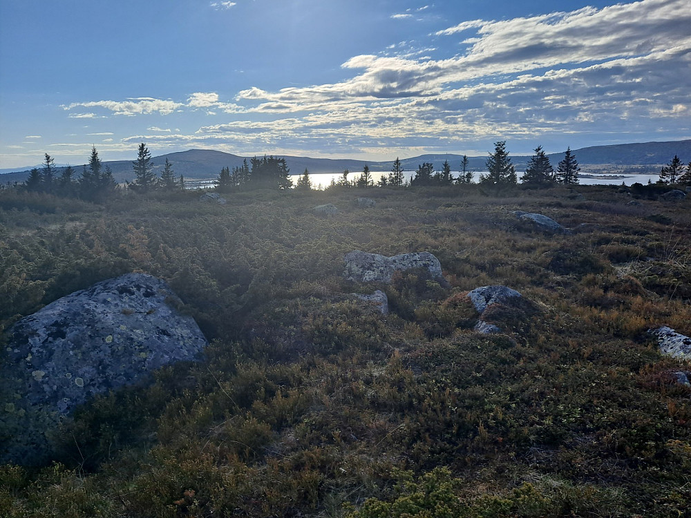 På vei innover