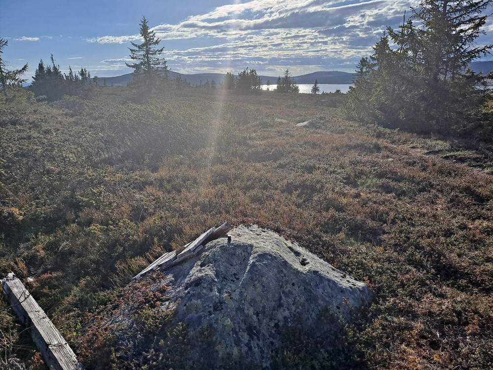 Og mot Reinsvatnet