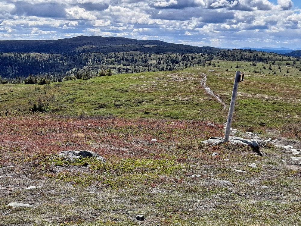 På Hærfjbellet