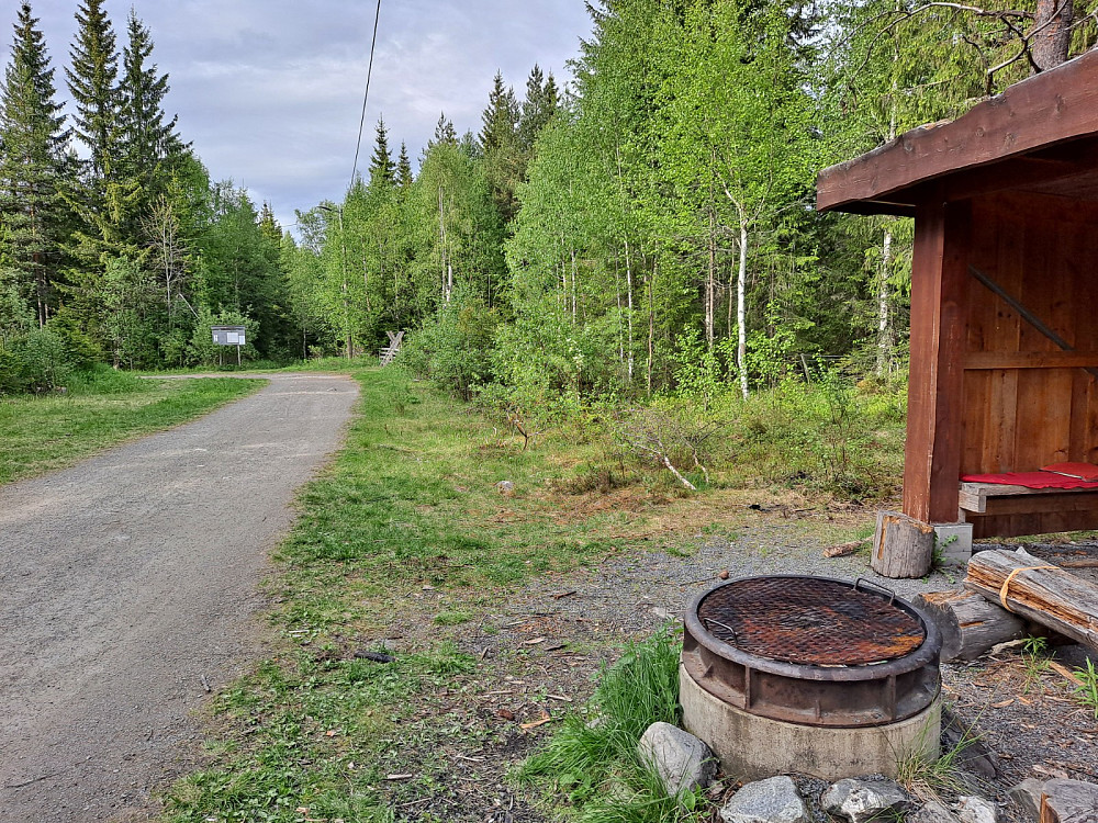 Ved Hammerkoia